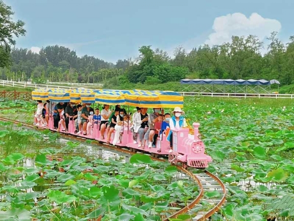 機(jī)械動(dòng)力類(lèi)